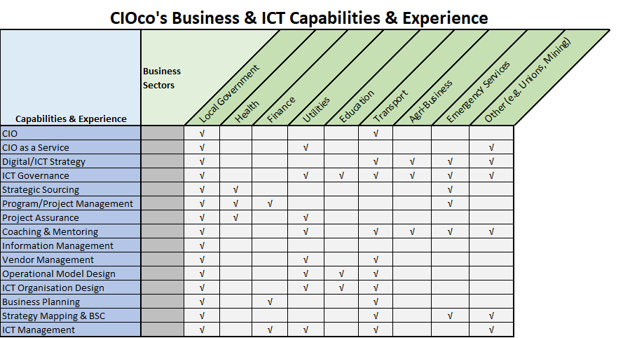CIOco Capabilities & Experience Profile
